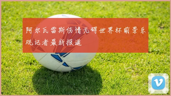 阿尔瓦雷斯伤情无碍世界杯前景乐观记者最新报道
